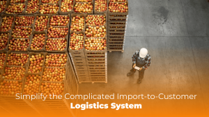 import-to-Customer Logistics System