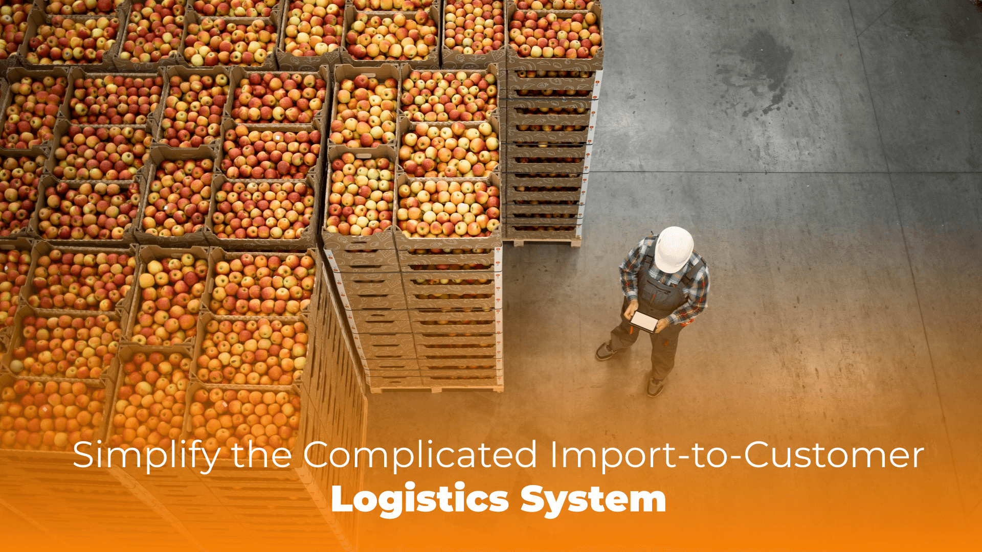 Simplify the Complicated Import-to-Customer Logistics System