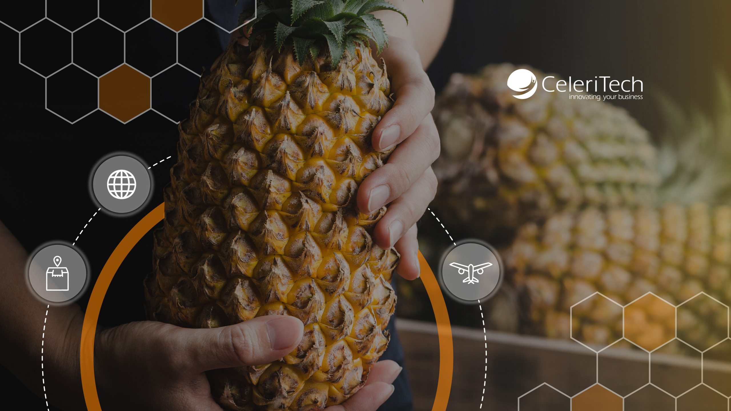 Transformación en la Importación de Piña: Chestnut Hill Farms Optimiza Operaciones con Tecnología